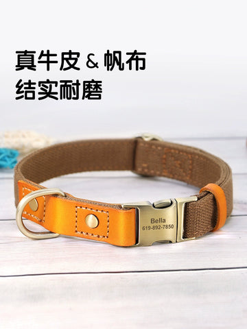 Orange and Brown leather  Collar